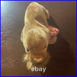 Ty Beanie Baby Retired 1999 Paul the Walrus Rare! With ERRORS