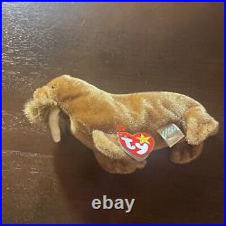 Ty Beanie Baby Retired 1999 Paul the Walrus Rare! With ERRORS