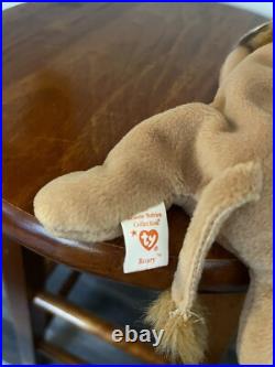 Ty Beanie Baby Roary (1996) Very Rare! Tag Errors