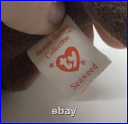 Ty Beanie Baby Seaweed the Otter Retired Mint ERRORS RARE Vintage withTags Ty Beanie Baby Seaweed the Otter Retired Mint ERRORS RARE Vintage withTags