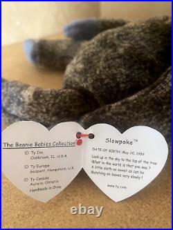 Ty Beanie Baby Slowpoke the Sloth Retired RARE Single Layer Tush Tag Mint