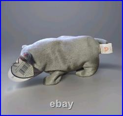Ty Beanie Baby Spike The Rhinoceros Rare Retired Error with Tag 1996
