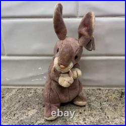 Ty Beanie Baby Springy RARE Printing Inside Tag 48RFGYWN