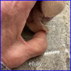 Ty Beanie Baby Springy RARE Printing Inside Tag 48RFGYWN