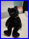 Ty-Beanie-Baby-The-End-1999-Very-Rare-Mint-Condition-with-Tag-Errors-01-ozc
