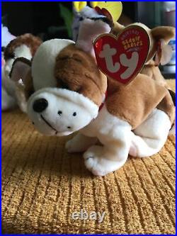 Ty Beanie Baby Tiny The Chihuahua Dog With 3 Errors Rare, Excellent Condition