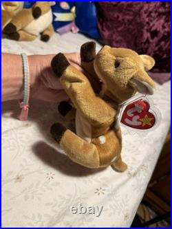Ty Beanie Baby Whisper Fawn 1997 5th Generation Hang Tag RARE Misprint -Claude