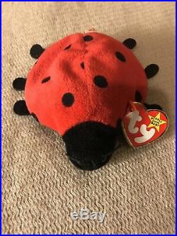 Ty Beanie baby Lucky! Rare! With Many Errors