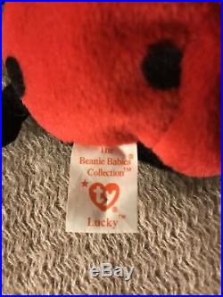 Ty Beanie baby Lucky! Rare! With Many Errors