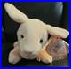 Ty-Original-Beanie-Babies-Nibbler-Rabbit-1999-PE-Pellets-Mint-Rare-with-Errors-F-S-01-hsk