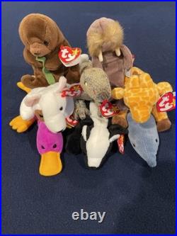 Ty Original Beanie Baby 1990s Bundle All With Rare Tag Errors
