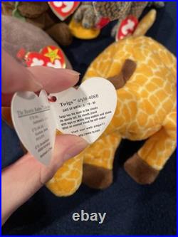 Ty Original Beanie Baby 1990s Bundle All With Rare Tag Errors