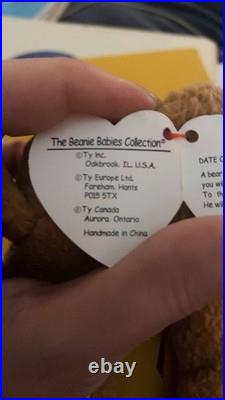 Ty Original Beanie Baby Curly VERY RARE Authentic, Mint Condition WithE