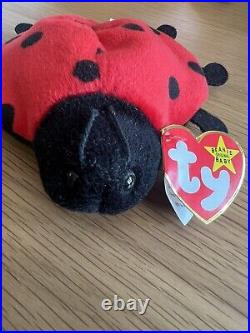 Ty Original Beanie Baby Lucky The Ladybug with 10 Spots Plush Toy RARE