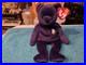 Ty-Princess-Beanie-Babyrare-Error-1997-Erin-Tag-Made-In-China-P-E-Pellets-01-fie