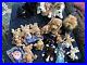 Ty-Puppy-Dog-Lot-Valuable-Rare-Retired-1993-1999-PVC-01-np