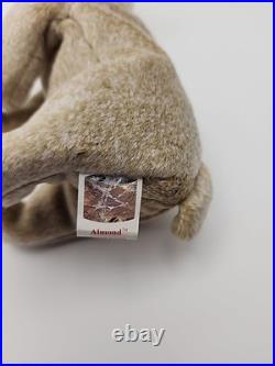 Ty Rare 1999 Beanie Baby Almond with Errors