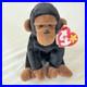 Ty-Rare-Beanie-Baby-Congo-1996-With-Errors-01-ccsc