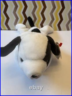 Ty Spot Beanie Baby RARE Hang Tag Error