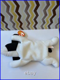 Ty Spot Beanie Baby RARE Hang Tag Error