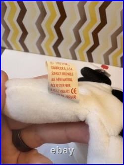 Ty Spot Beanie Baby RARE Hang Tag Error
