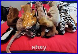 Ty Vintage Beanie Babies Rare Bucky with PVC pellets withLot Of (16)