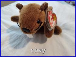 Ty Vintage Beanie Babies Rare Bucky with PVC pellets withLot Of (16)