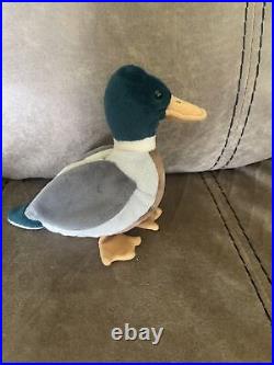 Ty beanie Jake the Mallard Drake Duck Rare Edition Red Tag #402 With Tag Errors