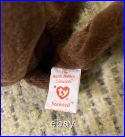 Ty beanie babies Seaweed Ultra Rare Retired Mint Condition