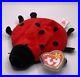 Ty-beanie-babies-extremely-rare-retired-1993-Lucky-The-Ladybug-PVC-Tag-Errors-01-woxc