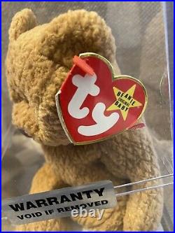 Ty beanie baby- Curly- RARE PVC- MUSEUM QUALITY- Peggy Gallagher Authenticated