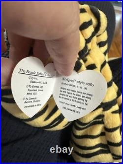 ULTRA RARE STRIPES Ty Beanie Baby