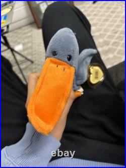 ULTRA RARE Ty Beanie Baby Scoop the Pelican (1996)