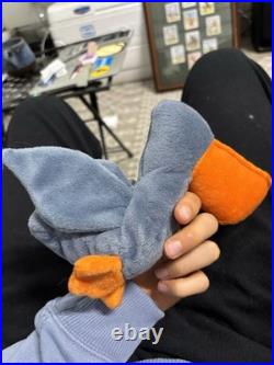 ULTRA RARE Ty Beanie Baby Scoop the Pelican (1996)
