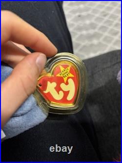 ULTRA RARE Ty Beanie Baby Scoop the Pelican (1996)