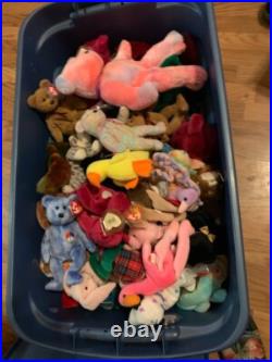 UPDATED PICTURES! TY Beanies Babies Rare, Errors, VERY RARE! , Diane, Curly, MORE