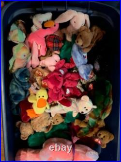 UPDATED PICTURES! TY Beanies Babies Rare, Errors, VERY RARE! , Diane, Curly, MORE
