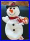 Ultra-Rare-Beanie-Baby-Snowball-Many-Errors-01-sh