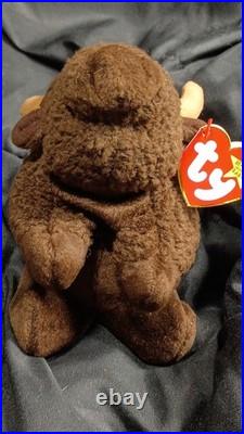 VERY RARE Ty Beanie Baby ROAM the Buffalo1998 RETIRED With MULTIPLE ERRORS BELOW