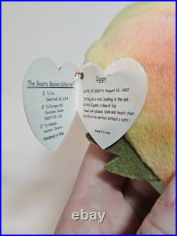 VHTF 1997 TY Beanie Babies Rare IGGY tha Iguana With ERRORS VHTF 1997 TY Beanie Babies Rare IGGY tha Iguana With ERRORS