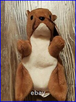 Very Rare Beanie Baby Nuts style 4114 Mint Condition with Plastic Tag (Errors!)