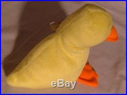 Very Rare Qudckers Ty Beanie Baby No Wings Wateriooville 1993 Quackers! Look