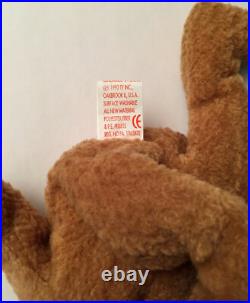 Very Rare TY Beanie Babies Baby Curly Bear With Many Errors