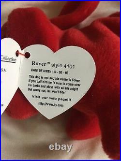 Very Rare TY Rover Beanie Baby, Retired, Original Rare with Many Tags Errors