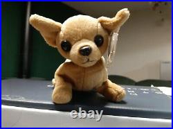 Very Rare Tiny the Chihuahua TY Beanie Baby 1998 Retired Very Cute Puppy Dog