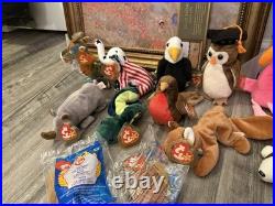 Vintage Lot Of 20 Rare TY Beanie Babies Mid-90's All Have Tush Tags And Ty Tags