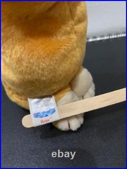 Vintage Rare 1998 Beanie Baby Hope the Praying Bear with multiple tags errors