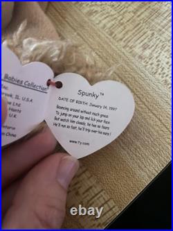 Vintage Retired & Rare Ty Beanie Babies Spunky