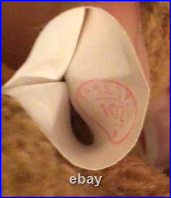 Vtg 1996 Ty Beanie Baby Curly Rare/Retired Multiple Errors 4052 Plush Toy