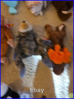 Vtg Ty Beanie Babies All With Tags Rare